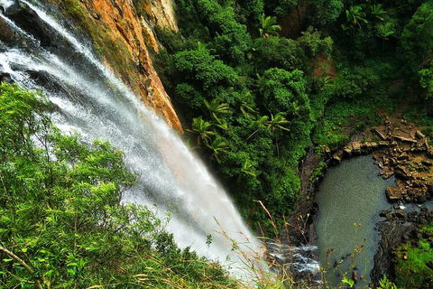 Natural Arch, Rainforest & Volcano Canyon - Private Half Day Tour - Accommodation Batemans Bay 5