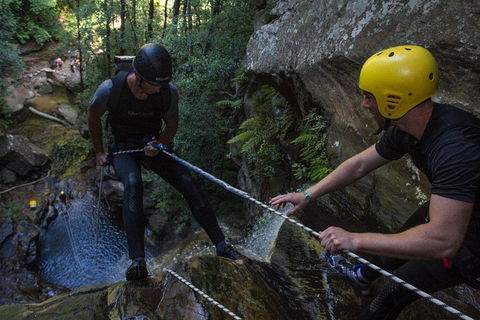 Blue Mountains Empress Canyon Adventure From Wentworth Falls - Accommodation Batemans Bay 2