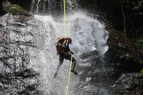 Blue Mountains Empress Canyon Adventure From Wentworth Falls - Accommodation Batemans Bay 3