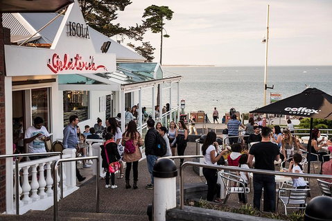 Phillip Island And French Island Wildlife Expedition - Accommodation Batemans Bay 0