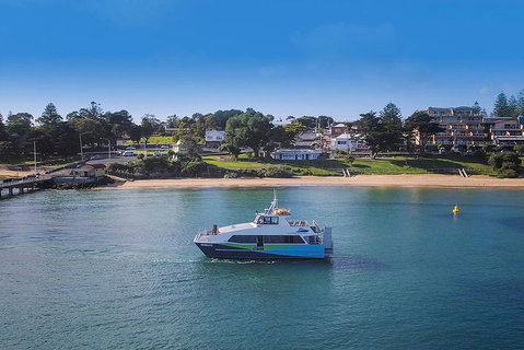 Phillip Island And French Island Wildlife Expedition - Accommodation Batemans Bay 2