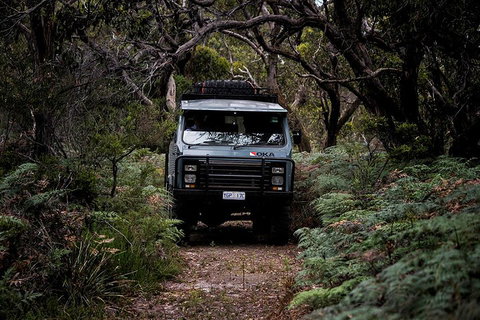 Phillip Island And French Island Wildlife Expedition - Accommodation Batemans Bay 4