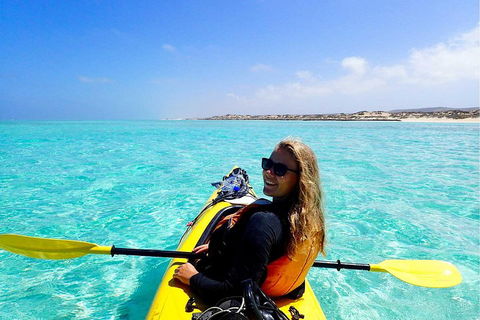 Lagoon Explorer - Ningaloo Reef Full-Day Kayaking And Snorkeling Adventure - Accommodation Batemans Bay 1