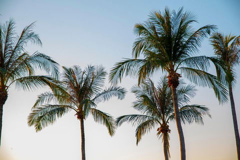 Darwin City Sightseeing Tour - Accommodation Batemans Bay 0