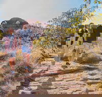 Kings Canyon Day Trip from Ayers Rock Uluru - Accommodation Batemans Bay
