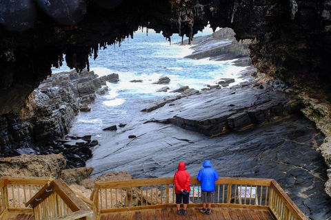 Full-Day Kangaroo Island Safari From Penneshaw - Accommodation Batemans Bay 1