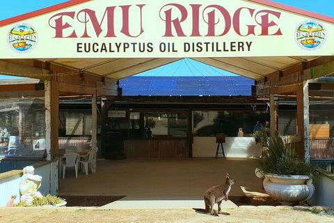 Full-Day Kangaroo Island Safari From Penneshaw - Accommodation Batemans Bay 2