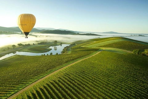 Half-Day Or Full-Day Tour With Private Guide From Melbourne - Accommodation Batemans Bay 4
