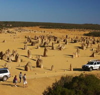 1-Day Pinnacles and Yanchep Tour from Perth including Fish and Chips Lunch - Accommodation Batemans Bay