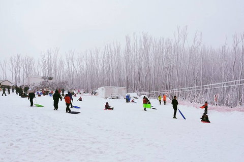 Private Mount Buller Snow And Ski Tour From Melbourne - Accommodation Batemans Bay 1