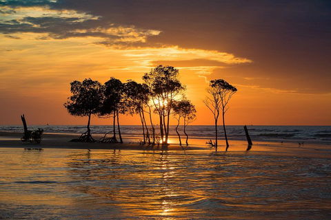 Delightful Darwin Self-Guided Audio Tour - Accommodation Batemans Bay 3