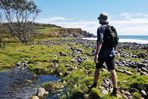 Half Day Guided Small Group Walk - Accommodation Batemans Bay 0
