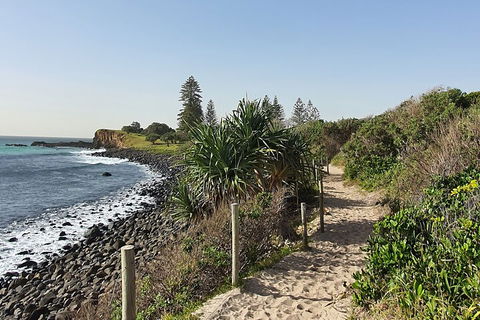 Half Day Guided Small Group Walk - Accommodation Batemans Bay 2