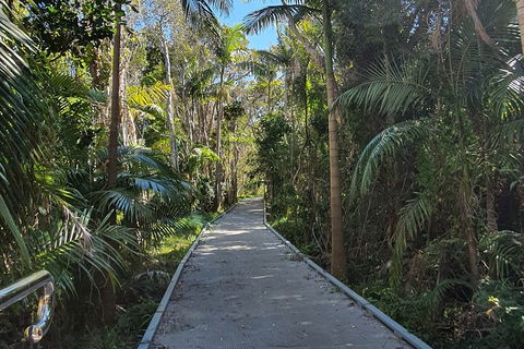 Half Day Guided Small Group Walk - Accommodation Batemans Bay 3