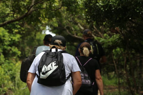 Half Day Guided Small Group Walk - Accommodation Batemans Bay 4