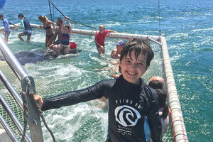 Port Stephens Private Tour From Sydney, with Dolphin/ Whale Cruise Options