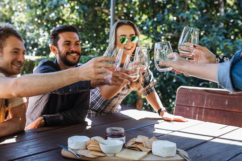 Full-day Wine-Tasting And Tamborine Mountain Tour With Lunch - Accommodation Batemans Bay 0