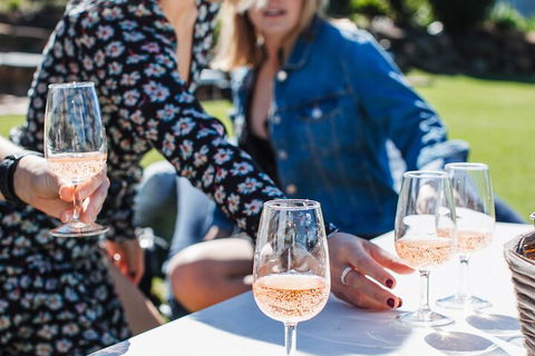 Full-day Wine-Tasting And Tamborine Mountain Tour With Lunch - Accommodation Batemans Bay 1