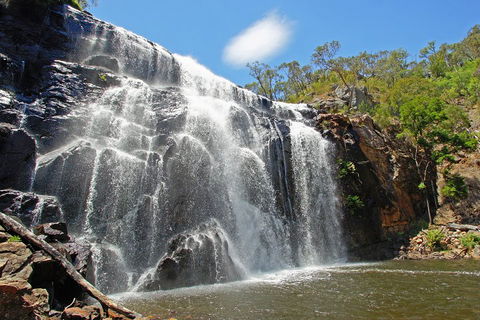 Grampians National Park Small-Group Eco Tour From Melbourne - Accommodation Batemans Bay 0