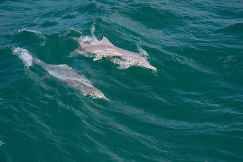 North Stradbroke Island Private Tour With Pickup - Accommodation Batemans Bay 0