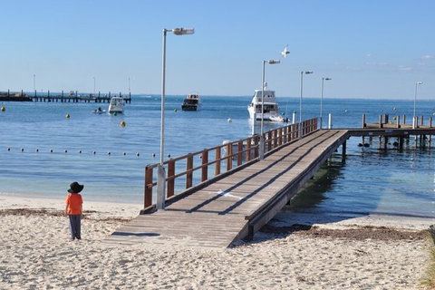 Monkey Mia Dolphins & Shark Bay Air Tour From Perth - Accommodation Batemans Bay 0