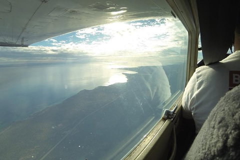 Monkey Mia Dolphins & Shark Bay Air Tour From Perth - Accommodation Batemans Bay 1