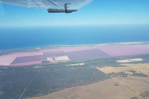 Monkey Mia Dolphins & Shark Bay Air Tour From Perth - Accommodation Batemans Bay 5