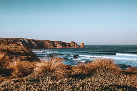 Private Phillip Island & Penguin Parade Hiking Tour From Melbourne - Accommodation Batemans Bay 0