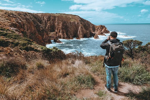 Private Phillip Island & Penguin Parade Hiking Tour From Melbourne - Accommodation Batemans Bay 5