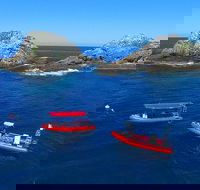 3-Hour Byron Bay Certified Scuba Diving Tour - Accommodation Batemans Bay