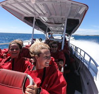Adventure Rottnest Tour with Ferry  Adventure Cruise from Perth or Fremantle - Accommodation Batemans Bay