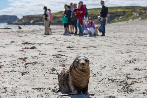 Kangaroo Island In A Day Tour From Adelaide - Accommodation Batemans Bay 0