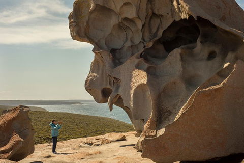 Kangaroo Island In A Day Tour From Adelaide - Accommodation Batemans Bay 5