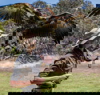 One Day Kangaroo Island Sip  See tour with return ferry transfers from Adelaide - Accommodation Batemans Bay