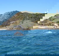 Kayaking with Dolphins in Byron Bay Guided Tour - Accommodation Batemans Bay