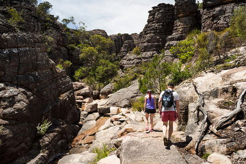 Grampians National Park With Kangaroos And MacKenzie Falls From Melbourne - Accommodation Batemans Bay 3