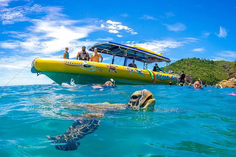 Great Barrier Reef Scenic Flight And Ocean Rafting Whitehaven Beach Day Trip - Accommodation Batemans Bay 1