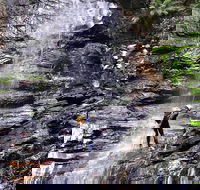 Full-Day Canyoning Experience at Stunning Empress Canyon - Accommodation Batemans Bay