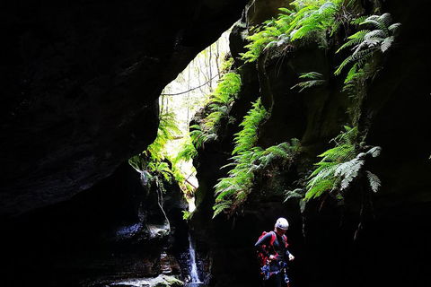Full-Day Canyoning Experience At Stunning Empress Canyon - Accommodation Batemans Bay 2
