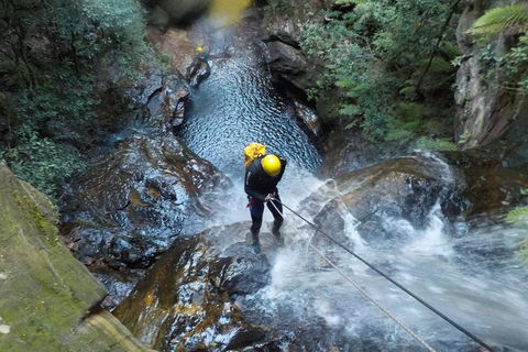 Full-Day Canyoning Experience At Stunning Empress Canyon - Accommodation Batemans Bay 4