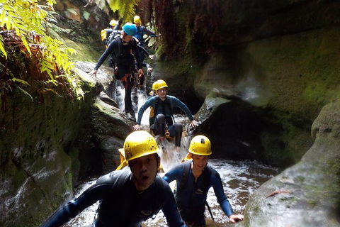 Full-Day Canyoning Experience At Stunning Empress Canyon - Accommodation Batemans Bay 5