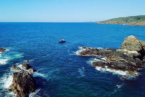 Julian Rocks Byron Bay Cruise