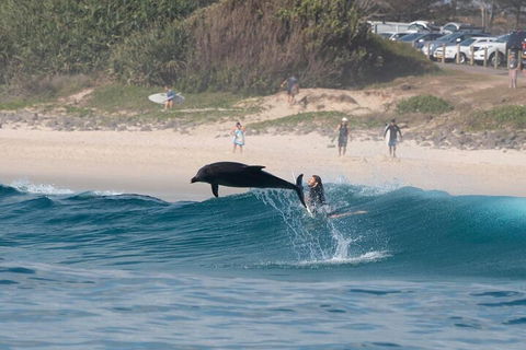 Cruise With Dolphins In Byron Bay - Accommodation Batemans Bay 3