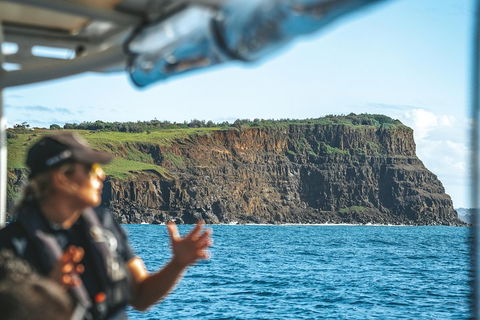 Cruise With Dolphins In Byron Bay - Accommodation Batemans Bay 4