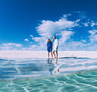 4-Day Coastal Loop via Monkey Mia Wild Dolphins Kalbarri Pinnacles Perth Return - Accommodation Batemans Bay