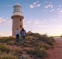 6-Day Coral Coaster from Perth to Exmouth One-Way via Monkey Mia Ningaloo Reef - Accommodation Batemans Bay