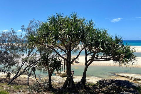 Full-Day Small Group Tour To North Stradbroke Island - Accommodation Batemans Bay 5