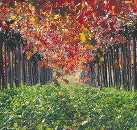 Margaret River Private Tour - Accommodation Batemans Bay