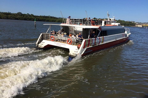 PRIVATE All-Day Blue Mountains Tour With Professional Guide For Up To 4 People - Accommodation Batemans Bay 0