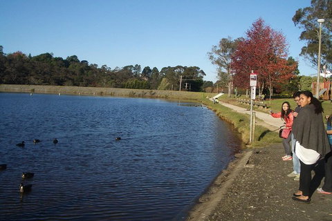 PRIVATE All-Day Blue Mountains Tour With Professional Guide For Up To 4 People - Accommodation Batemans Bay 2